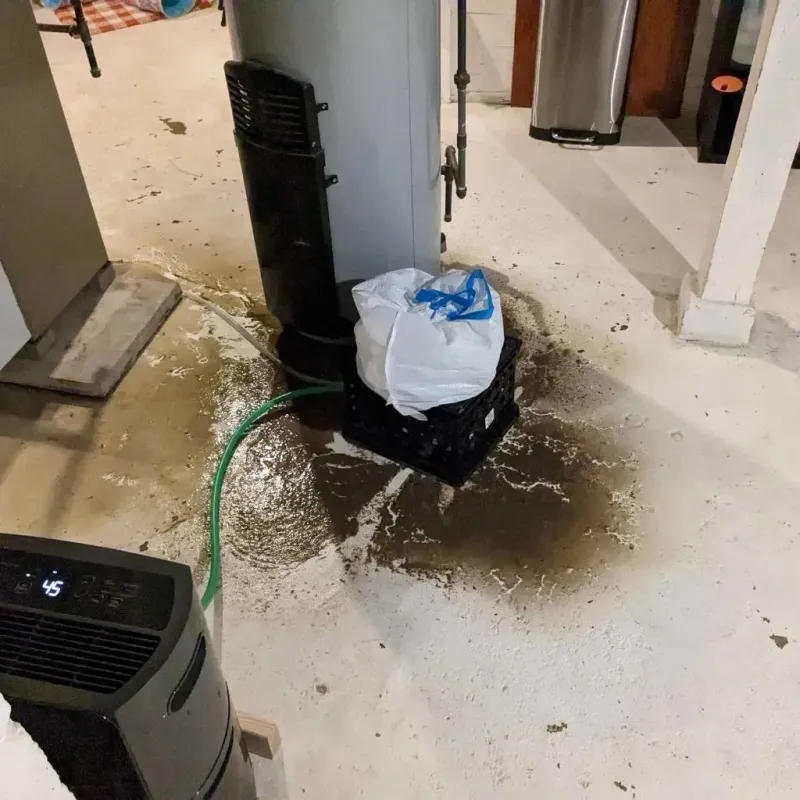 Sewage Backup Cleanup Service in Pushmataha County, OK